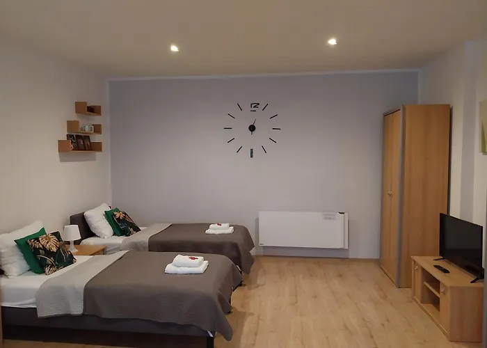 Apartament Srodmiescie Przemysl