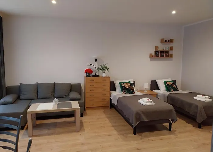 Apartament Srodmiescie Przemysl