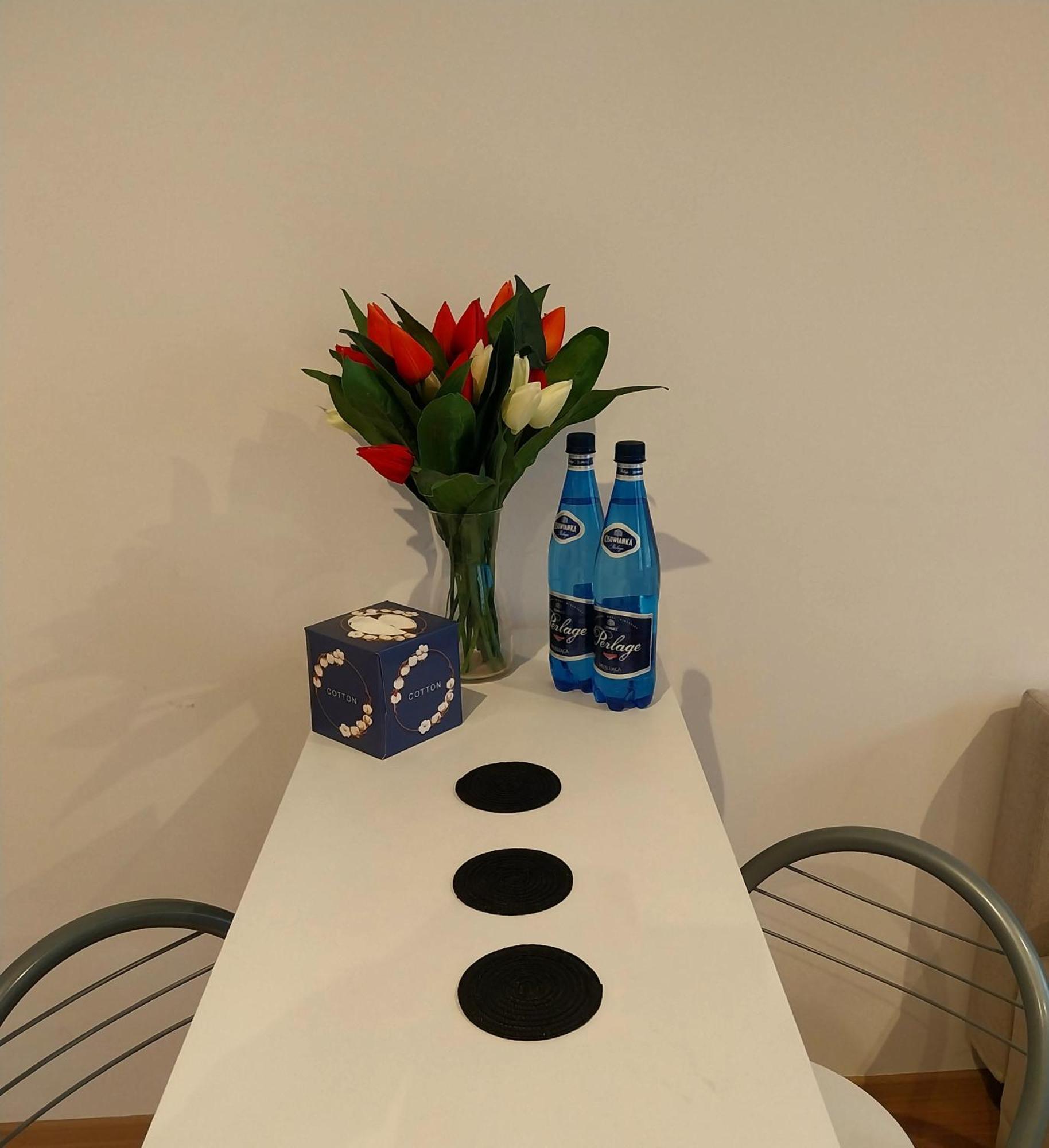 Srodmiescie Apartment