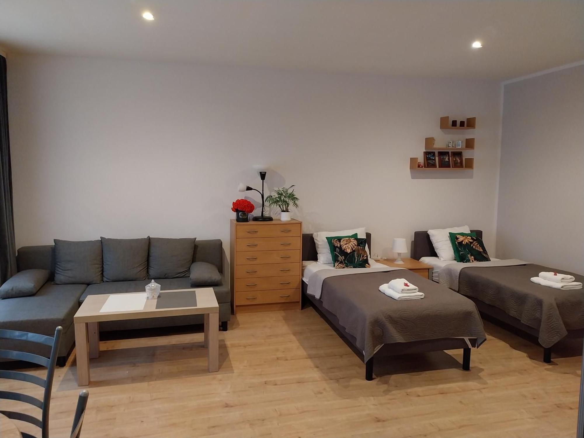 Srodmiescie Apartment *